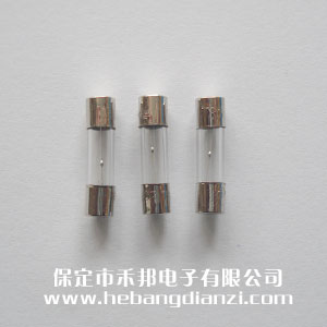 玻璃保险管Φ5*20mm 慢(màn)熔